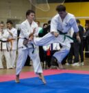 Чемпионат Ростовской области