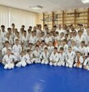 Квалификационный экзамен (кю-тест)