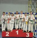 Кубок Поволжья