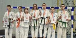 Кубок Поволжья